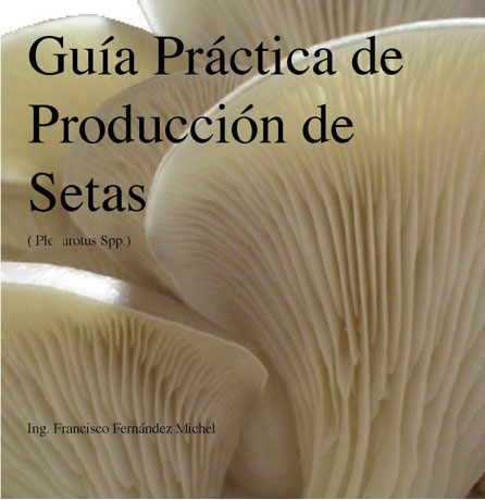 setas manual